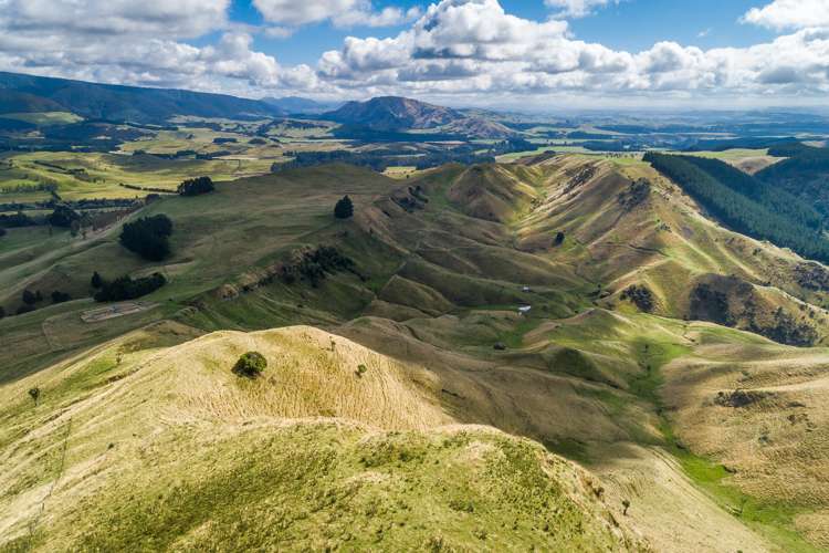 Mangleton Road Central Hawkes Bay Country_6