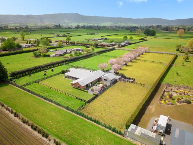 555 Taihoa South Road Matamata_1