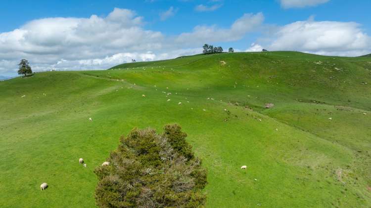 1163 Mangamako Road Ohingaiti_27