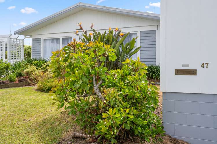 47 Beazley Crescent Tikipunga_17