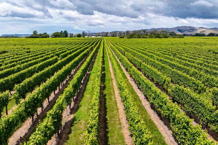 92 Lower Wairau Road Grovetown_9