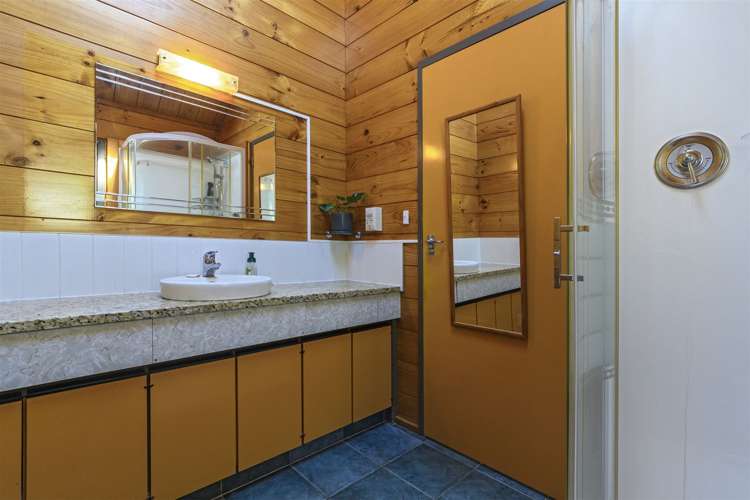 21 Carlton Street Bellevue_11