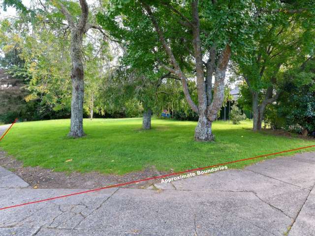 136 Clyde Street Hamilton East_3