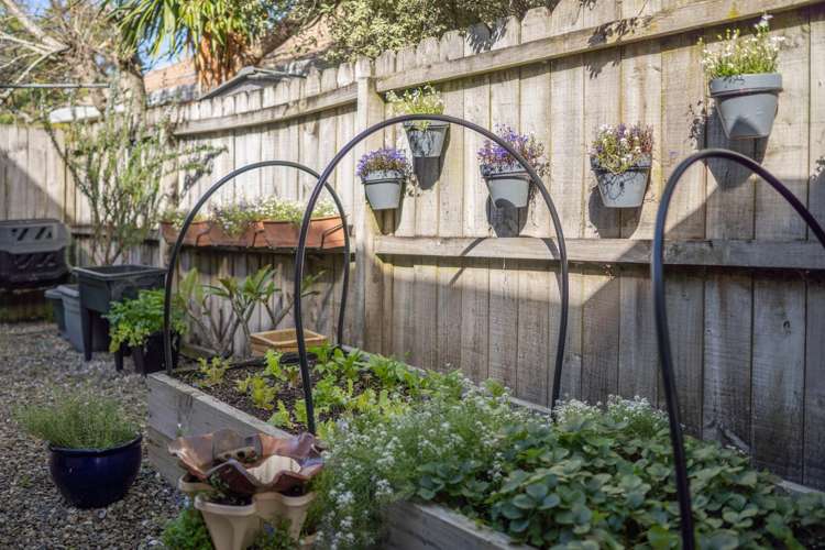 51b Santa Ana Drive Dannemora_23