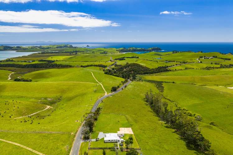 292 Taiharuru Road Taiharuru_48