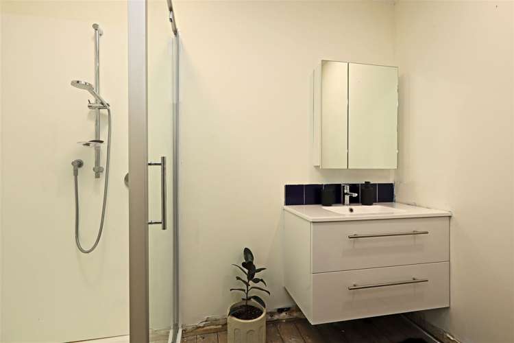 811 Fitzroy Avenue Mahora_13