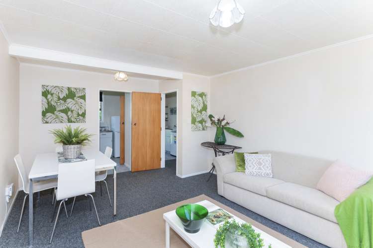 40c Winter Street Mangapapa_5