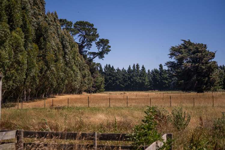 247 Belvedere Road Carterton_14