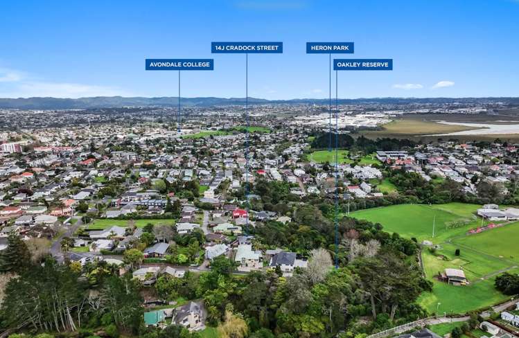 14j Cradock Street Avondale_26