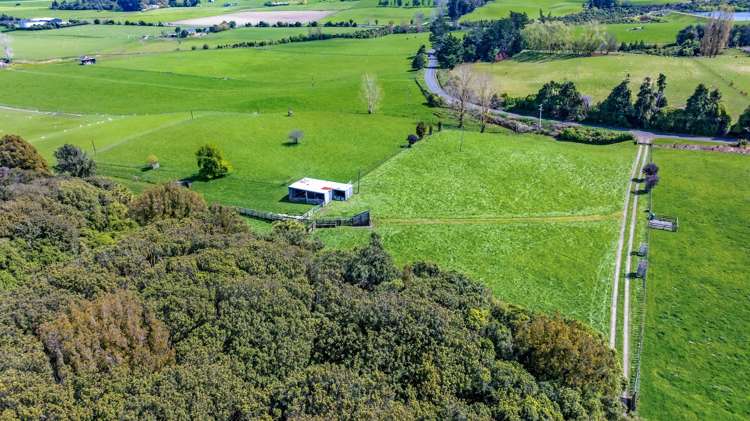 74 Galpins Road Marton_14