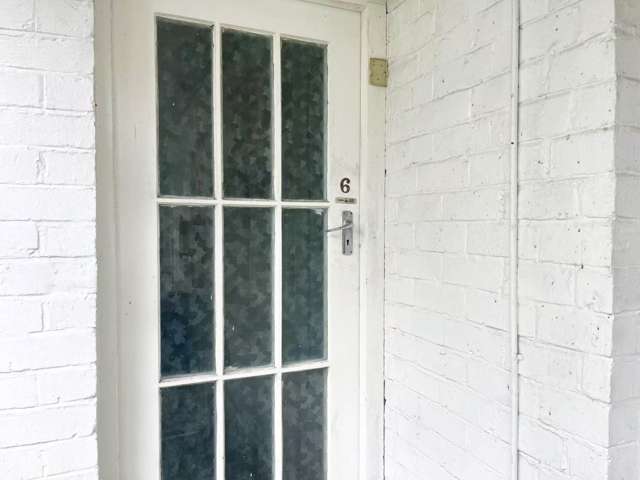 6/10 Ngauruhoe Street Mt Eden_1