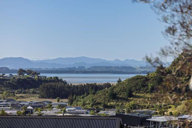 2 Lebanon Street Judea_11