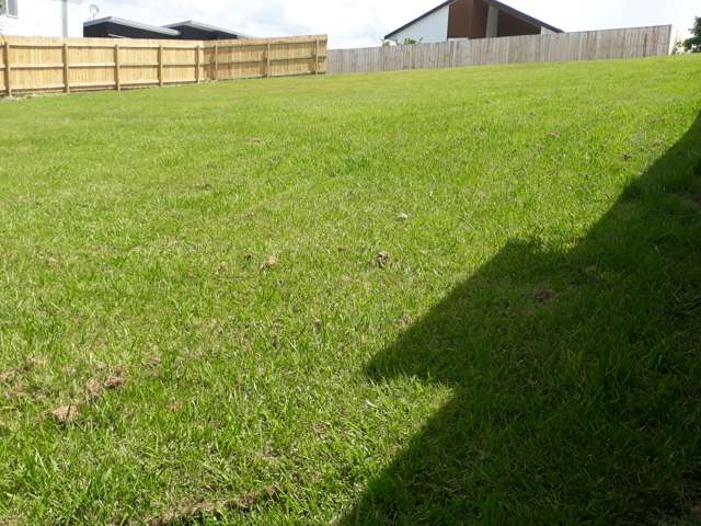 8 Takahe Place Mangawhai_2