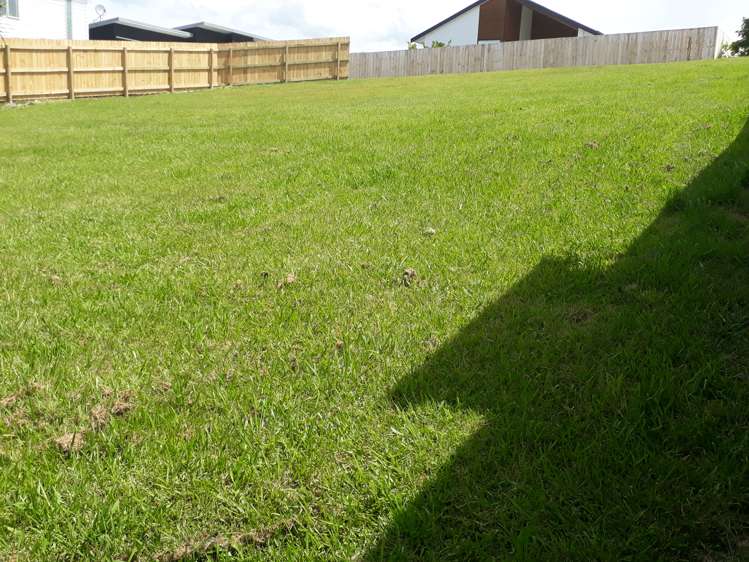 8 Takahe Place Mangawhai_2