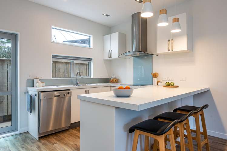 16b Argentine Avenue Miramar_5