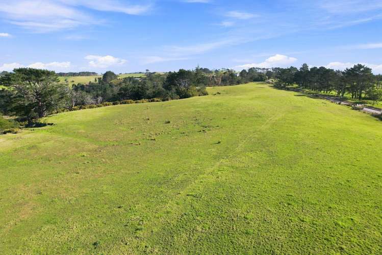 113 Tatarariki Spur Road Te Kopuru_6