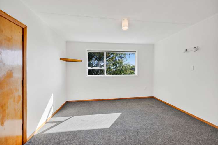 3a Waimea Street Westown_15