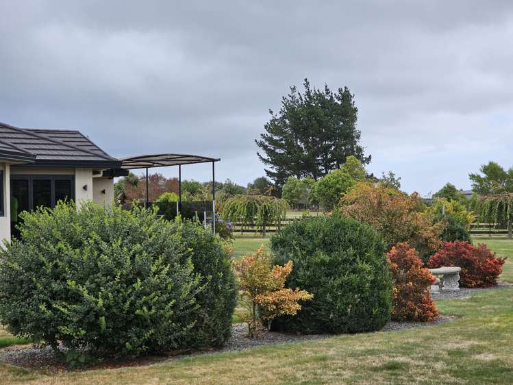 93 Pohutukawa Drive Levin_12