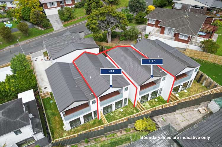 Lot 4 & 5/3 Catton Crs Mt Roskill_21