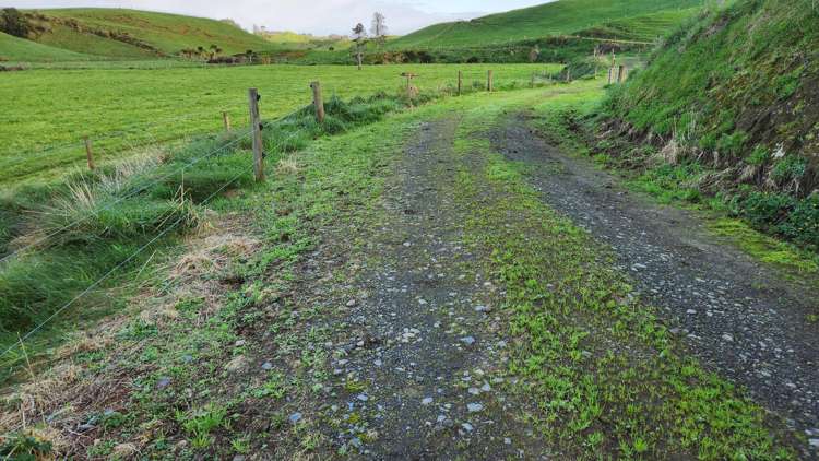 794 Tariki Road Ratapiko_10