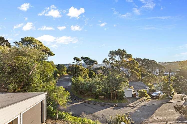 8 Totara Road Miramar_12