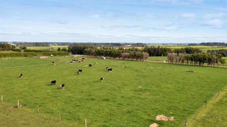 Lot 8,9,11/287 Ngawhini Road Hawera_5