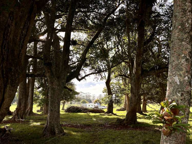 377 Waikaramu Road Waimate North_20