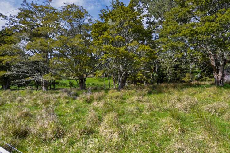 91 Freshfields Road Waimauku_13