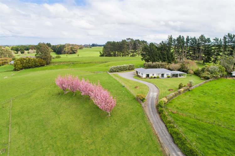 197 Tutaenui Road Marton_28