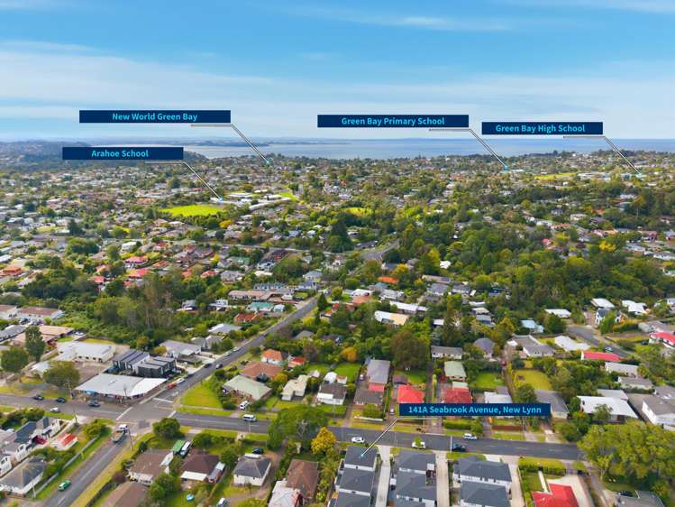 141A Seabrook Avenue New Lynn_14