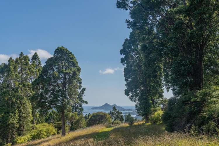 184 Hikuai Settlement Road Hikuai_17