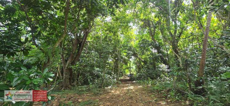 Address withheld Savusavu_26