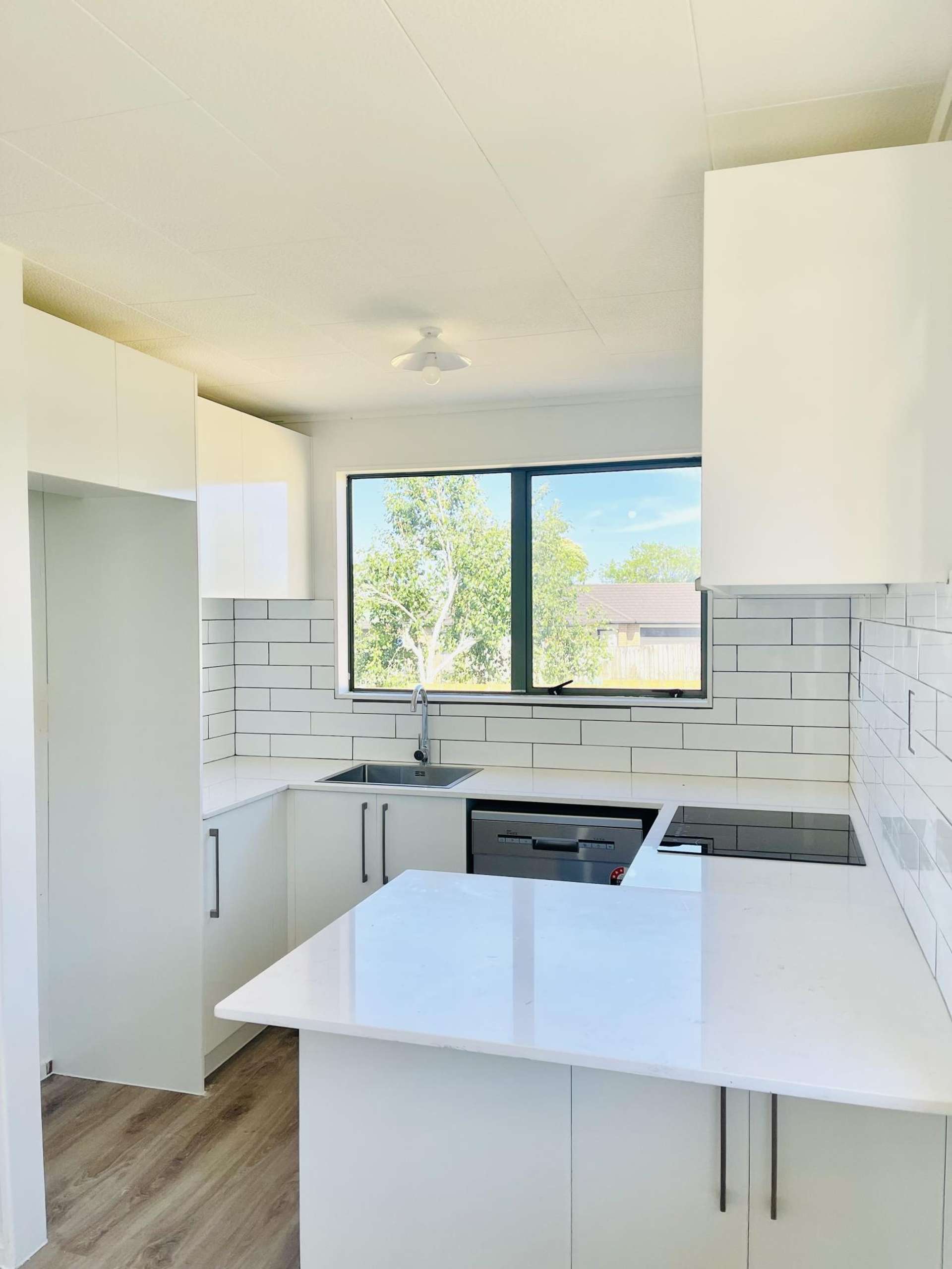 20a Church Street Tuakau_0