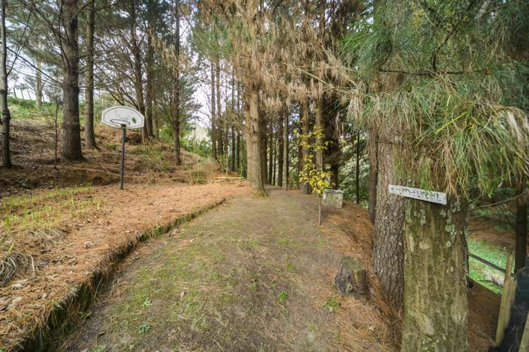 58 County Heights Drive Aokautere_23