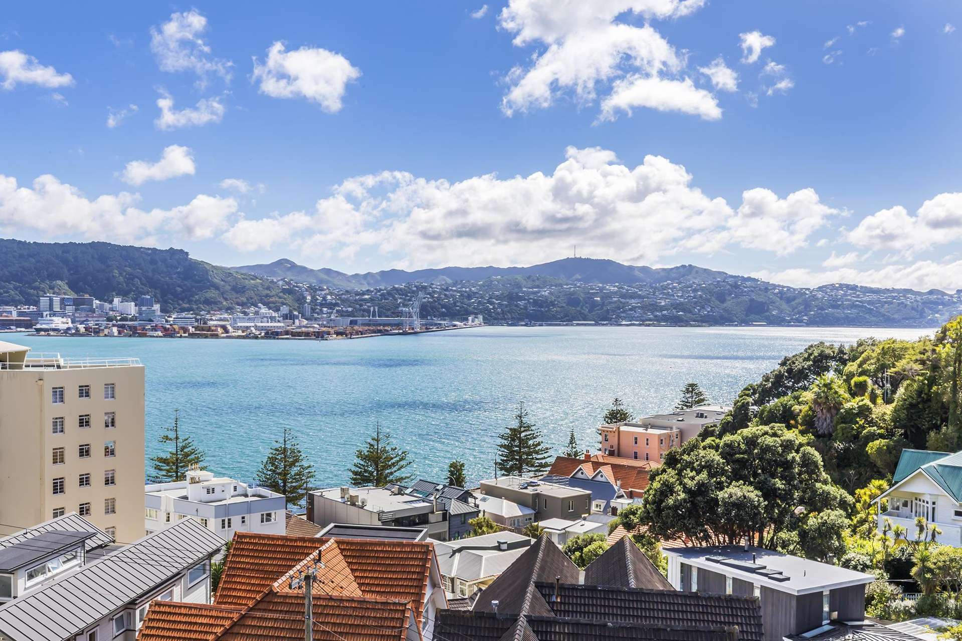 1 and 2/1 Wilkinson Street Oriental Bay_0
