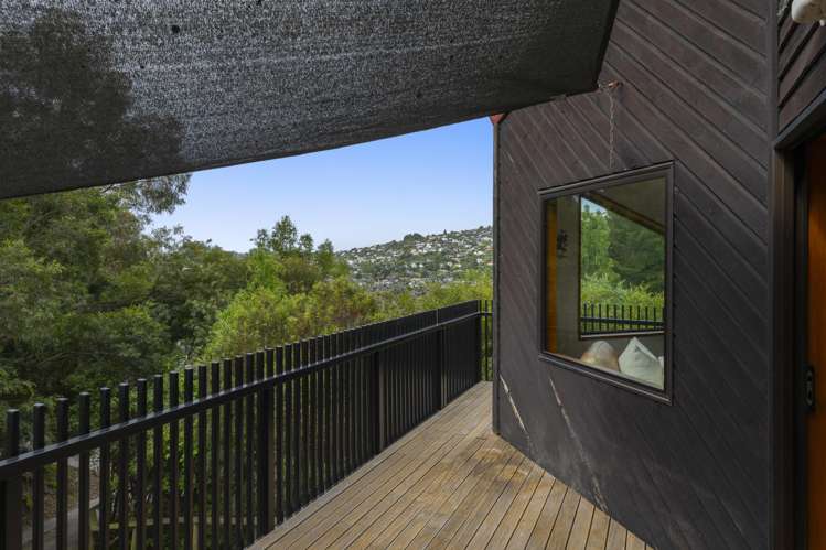 62 Holliss Avenue Cashmere_18