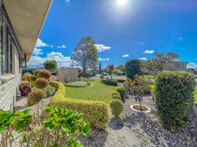 117 Lorne Street Morrinsville_1