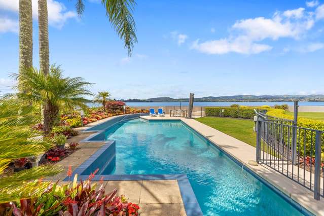 10/2 Sixth Avenue Tauranga Central_3