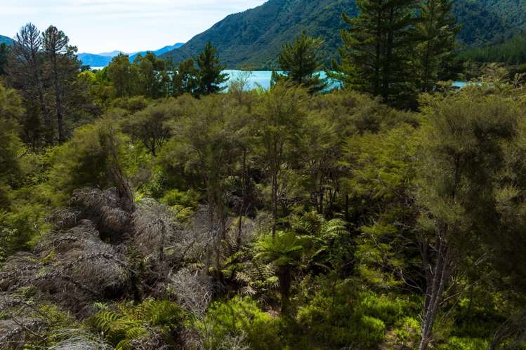 Lot 1 Nydia Bay Marlborough Sounds_22