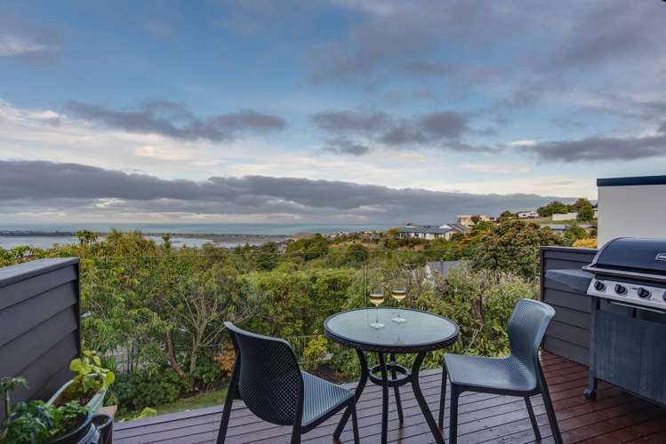 157 Soleares Avenue Mount Pleasant_32