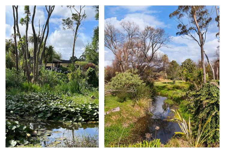 27 Woodlyn Drive Karaka_31