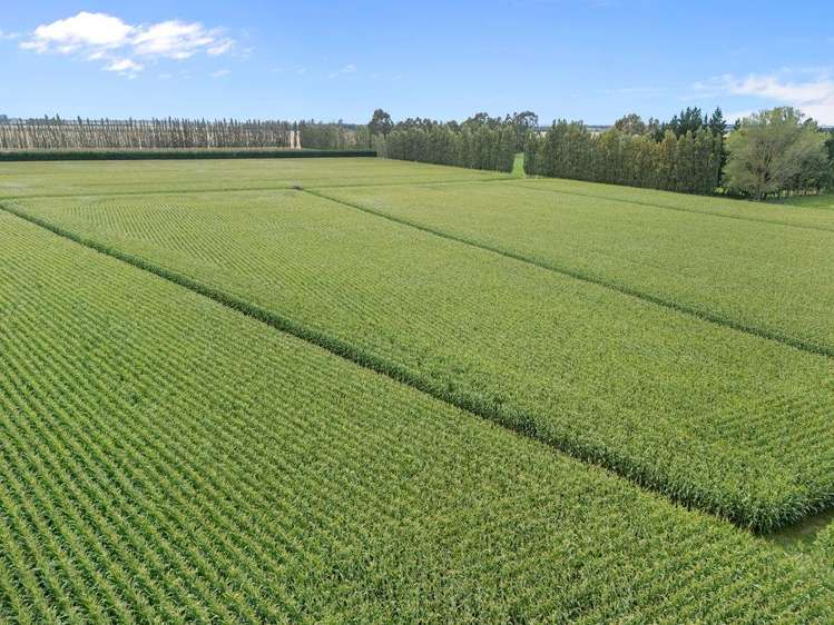 349 Wakanui Road Ashburton_11