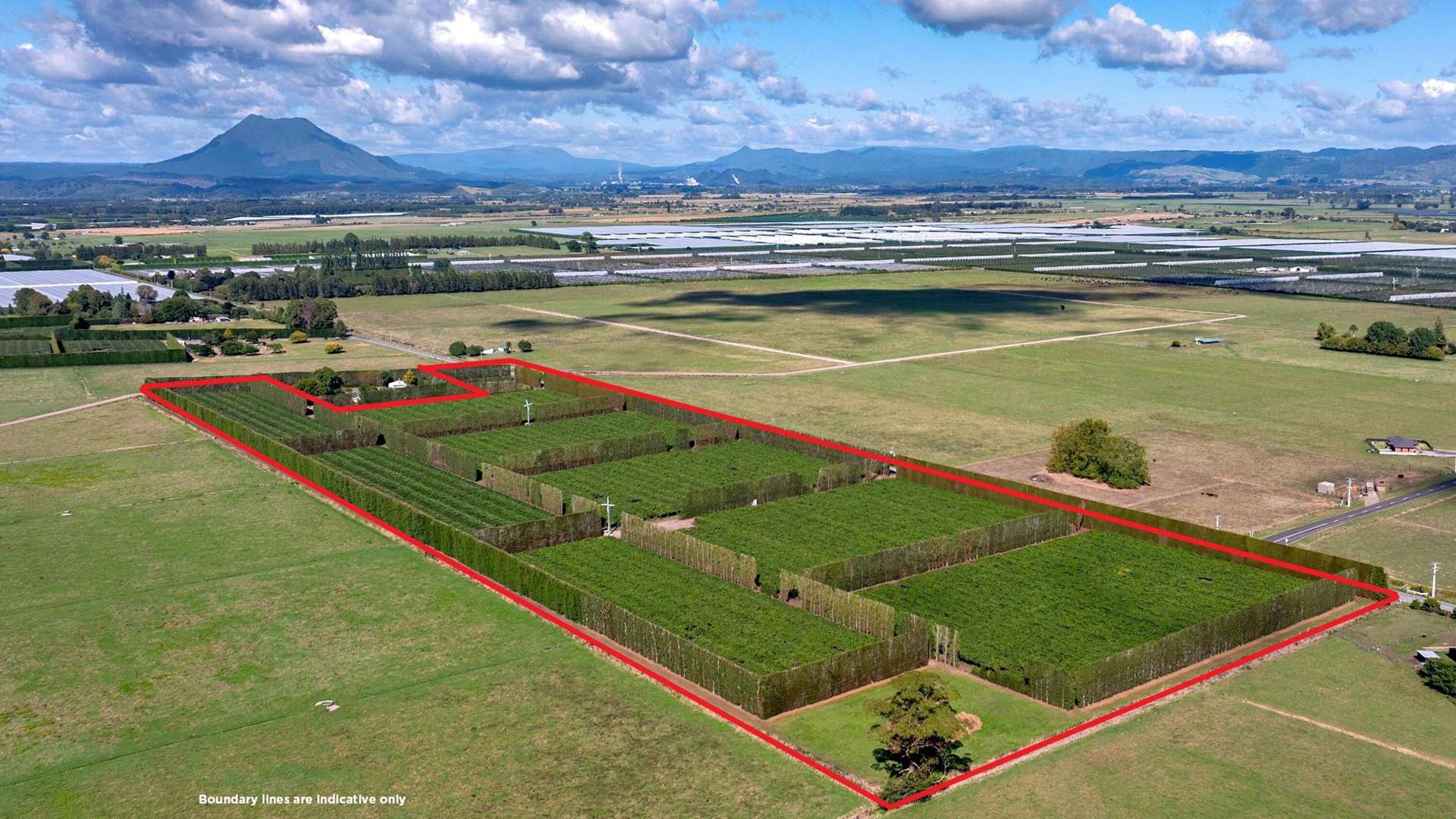 469 Western Drain Road Edgecumbe_0