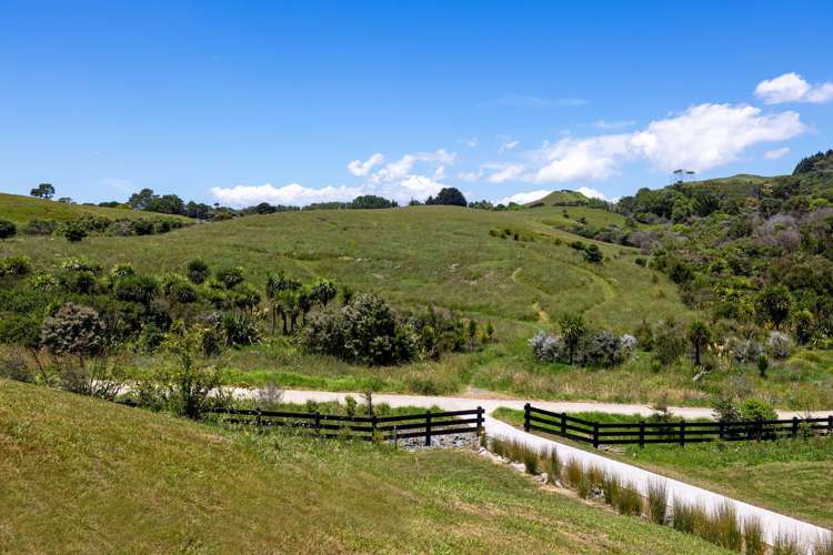 121 Greenslade Road Raglan_26