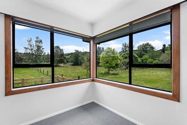 806 Outram-Mosgiel Road Outram_3