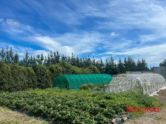 1742 Grahams Road Eiffelton_4