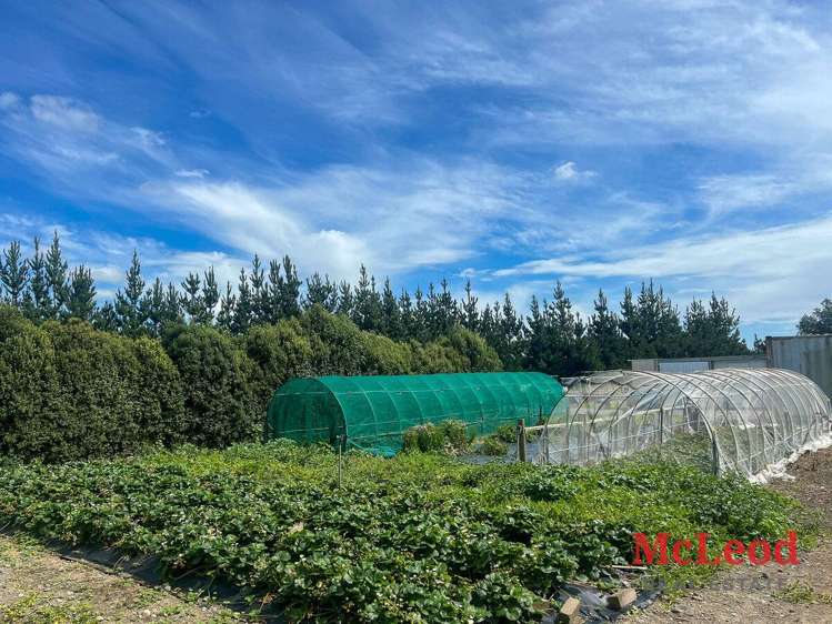 1742 Grahams Road Eiffelton_4