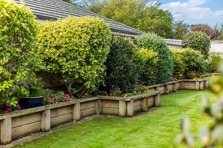 32 Weld Street Levin_14