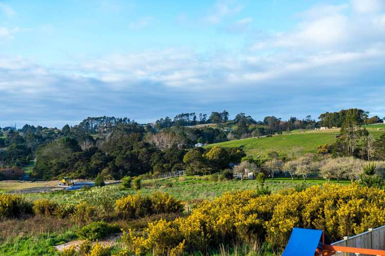 14 Kauri Gum Rise Swanson_22