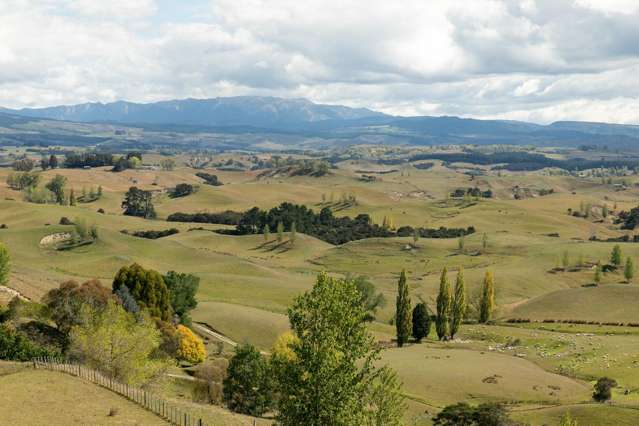 2412 Taihape Road Sherenden_3